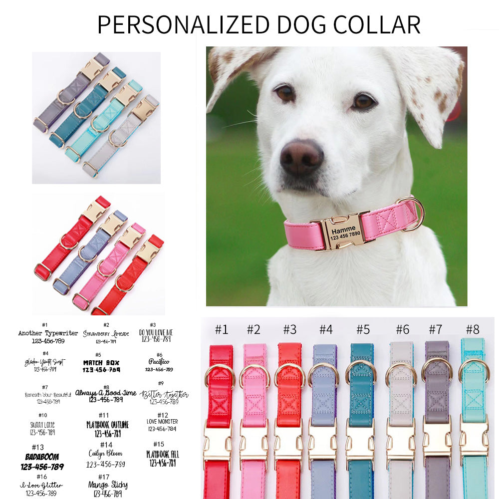 Engraved Dog Collar
