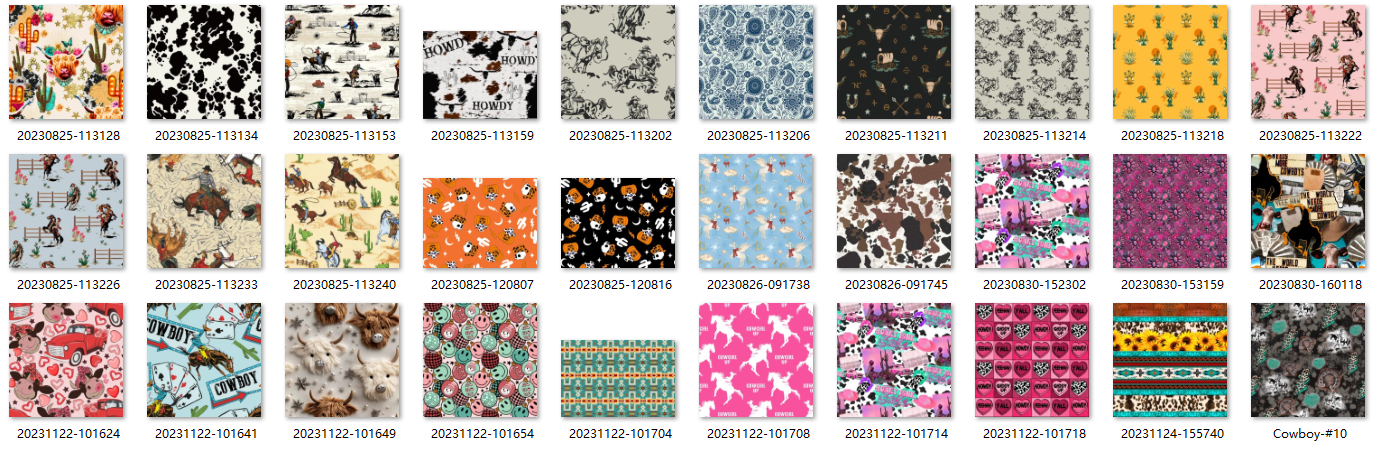 Western Style Print iPad Case