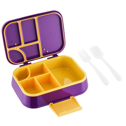 Hard Plastic Bento Box